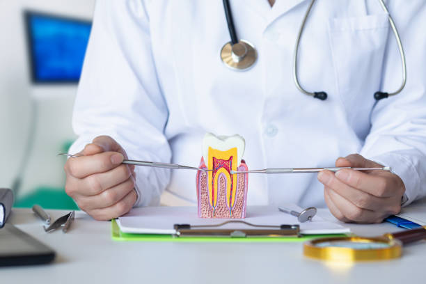 Best Orthodontic Emergency Dentist in Newman, CA